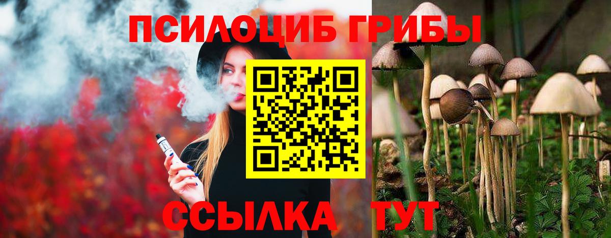 Великий Устюг  Галлюциногенные грибы прущие грибы  Галлюциногенные грибы прущие грибы  Вход с VPN 