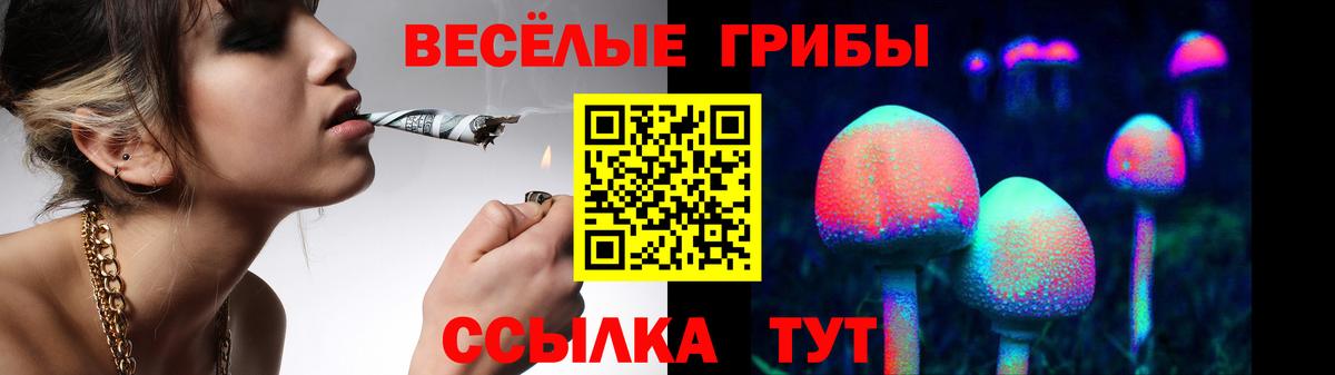 Псилоцибиновые грибы MAGIC MUSHROOMS Великий Устюг